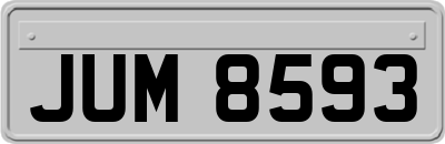 JUM8593