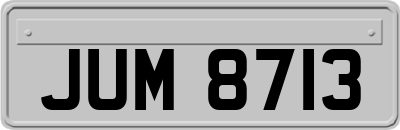 JUM8713