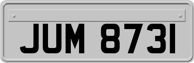 JUM8731