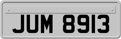 JUM8913