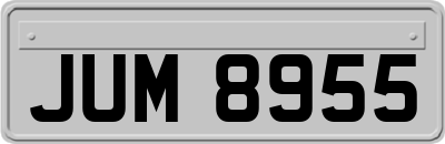 JUM8955