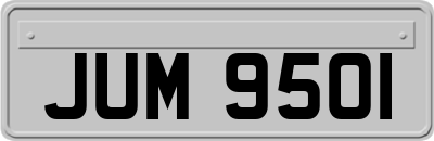 JUM9501