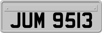 JUM9513