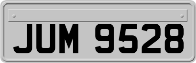 JUM9528