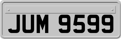 JUM9599