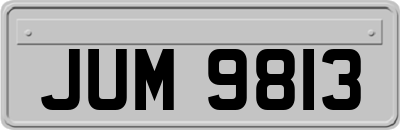 JUM9813