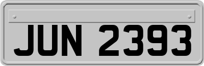 JUN2393