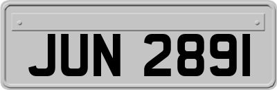 JUN2891