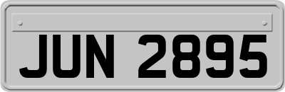 JUN2895