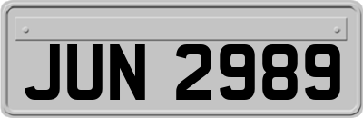 JUN2989