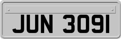 JUN3091