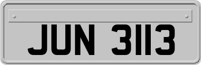 JUN3113