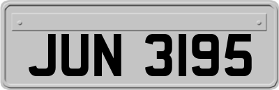 JUN3195