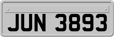 JUN3893
