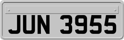 JUN3955