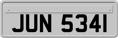 JUN5341