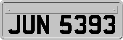 JUN5393