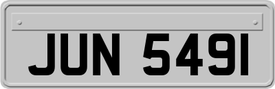 JUN5491