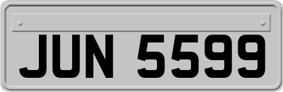 JUN5599