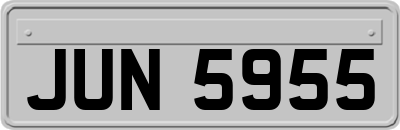 JUN5955