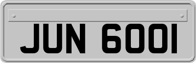 JUN6001