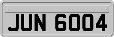 JUN6004