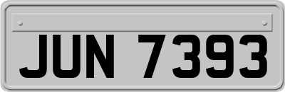 JUN7393