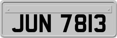 JUN7813