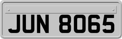 JUN8065