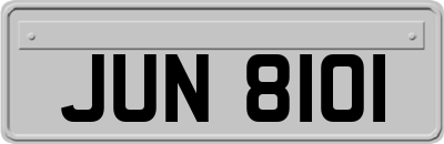 JUN8101