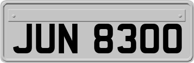 JUN8300