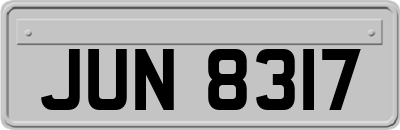 JUN8317