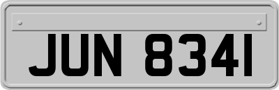 JUN8341