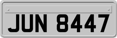 JUN8447