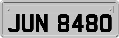 JUN8480