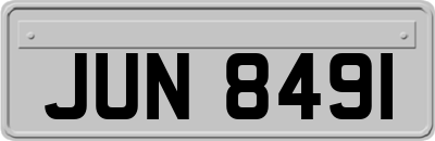 JUN8491