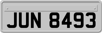 JUN8493