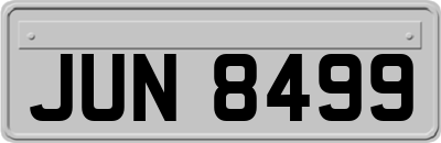 JUN8499