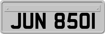 JUN8501