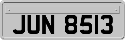 JUN8513