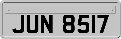 JUN8517