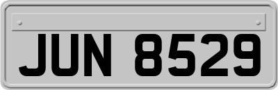 JUN8529