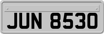 JUN8530