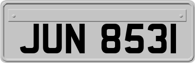 JUN8531