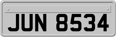 JUN8534