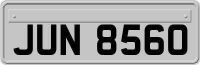 JUN8560