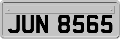 JUN8565