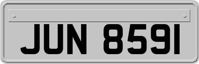 JUN8591