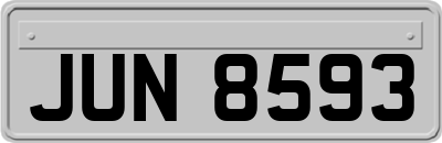 JUN8593