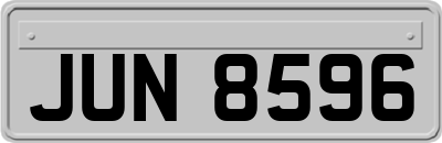 JUN8596